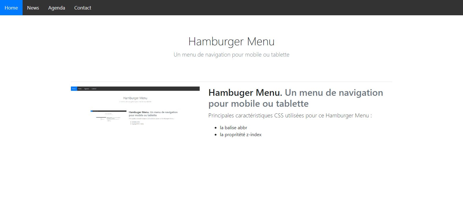 Hamburger Menu